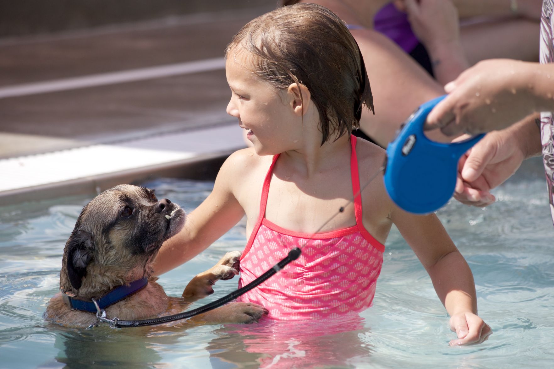Ephrata Doggie Swim